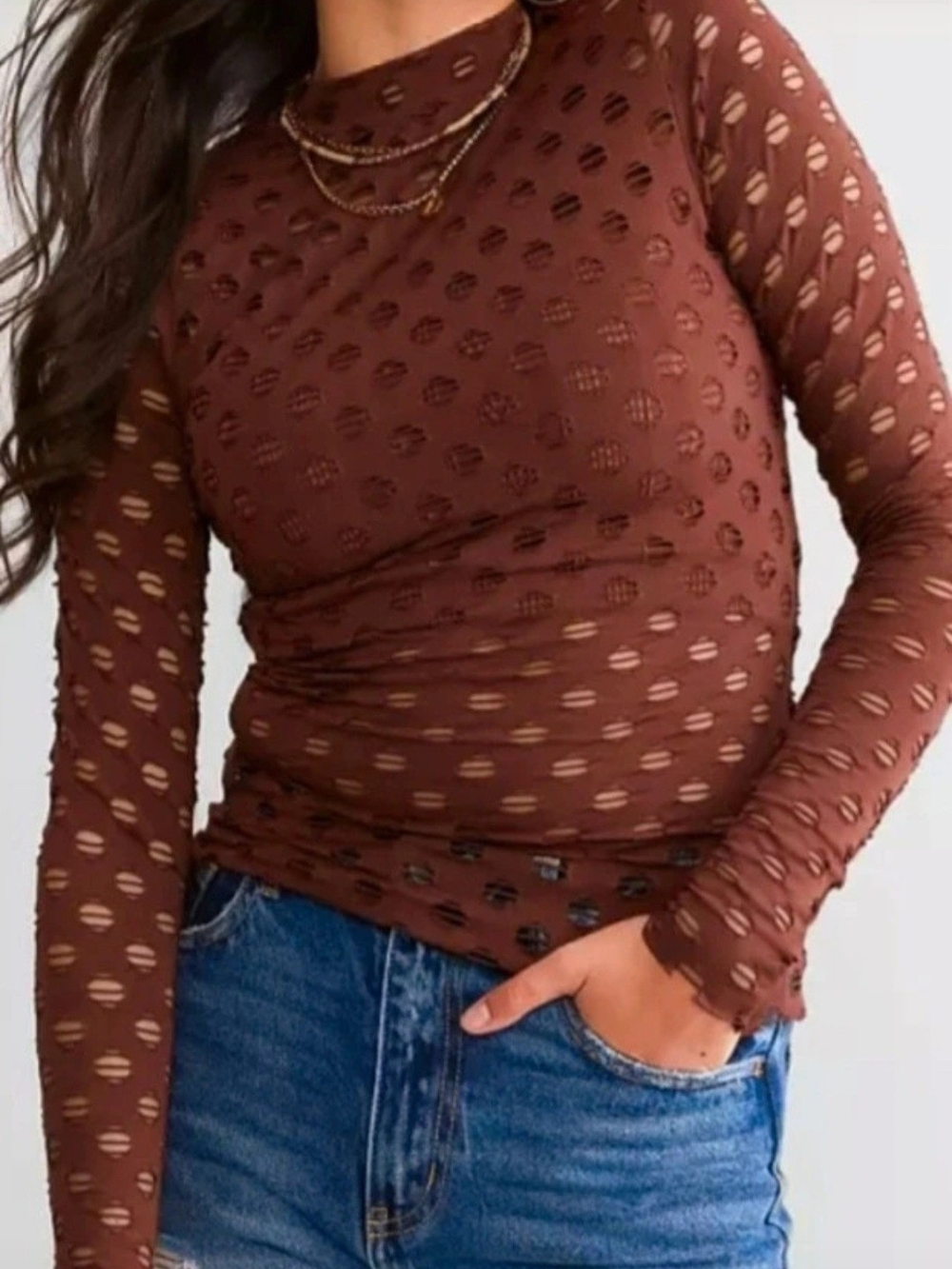Gilded Intent Women's Long Sleeve Brown Sheer Dot Mesh Top